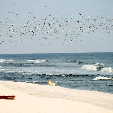 Διαμέρισμα Seesichtpur Kaiser Pelzerhaken